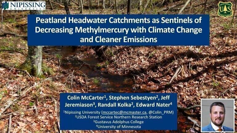 Peatland Headwater Catchments as Sentinels of Decreasing Methylmercury with Climate Change and Cleaner Emissions